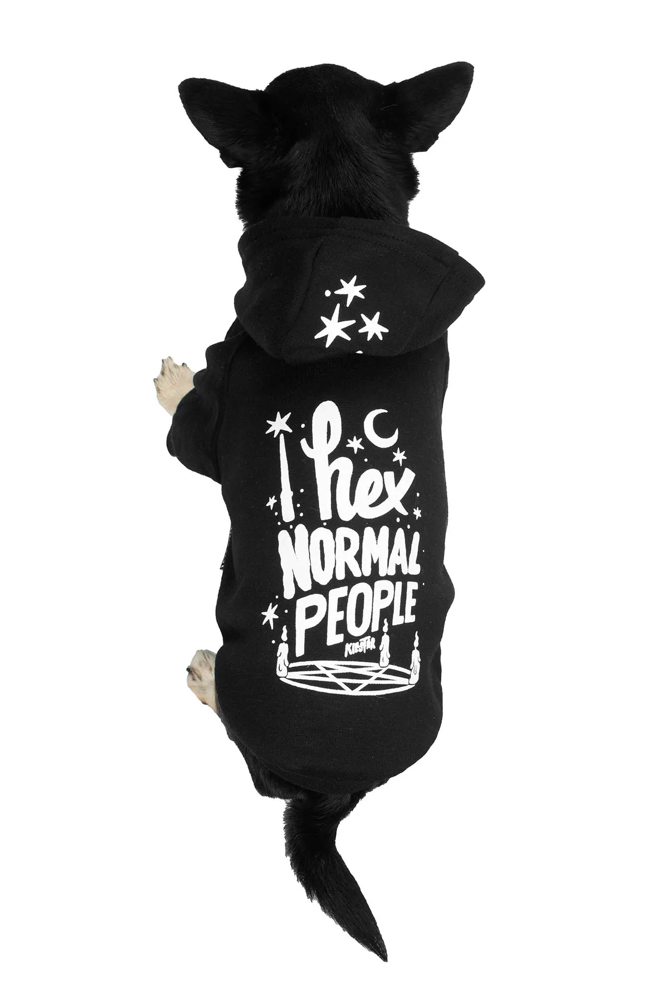 Hex Pet Hoodie