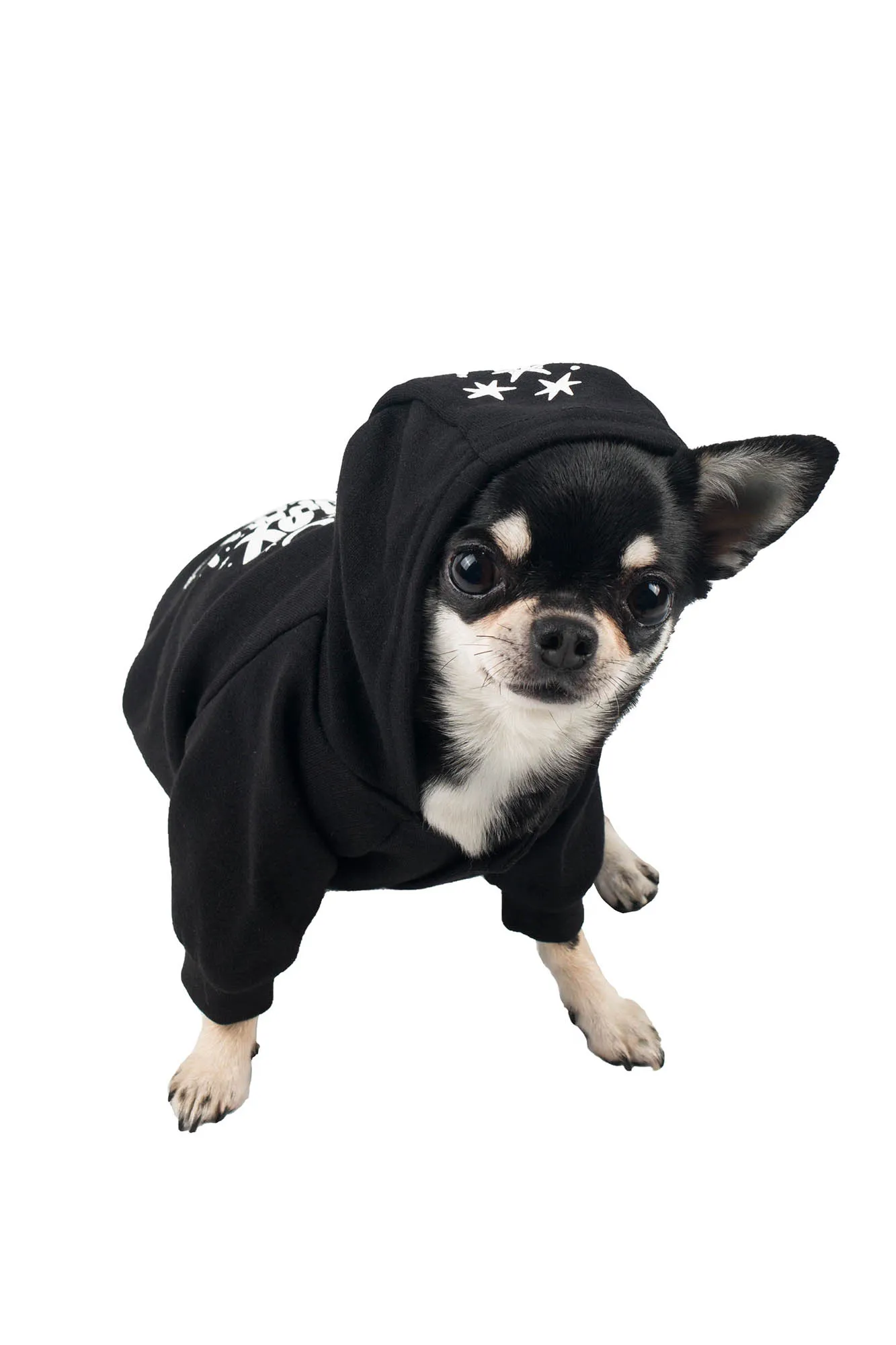 Hex Pet Hoodie