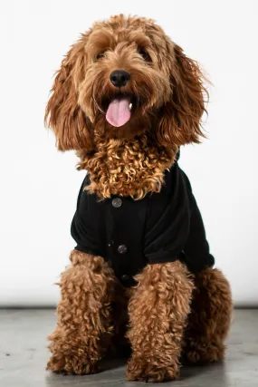 Party Pet Hoodie