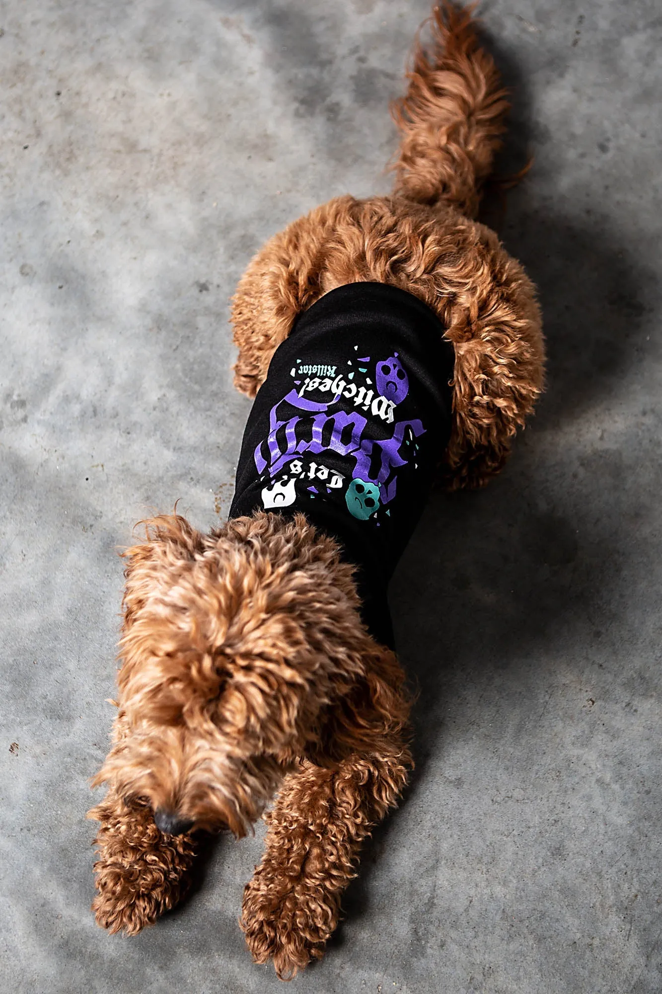 Party Pet Hoodie