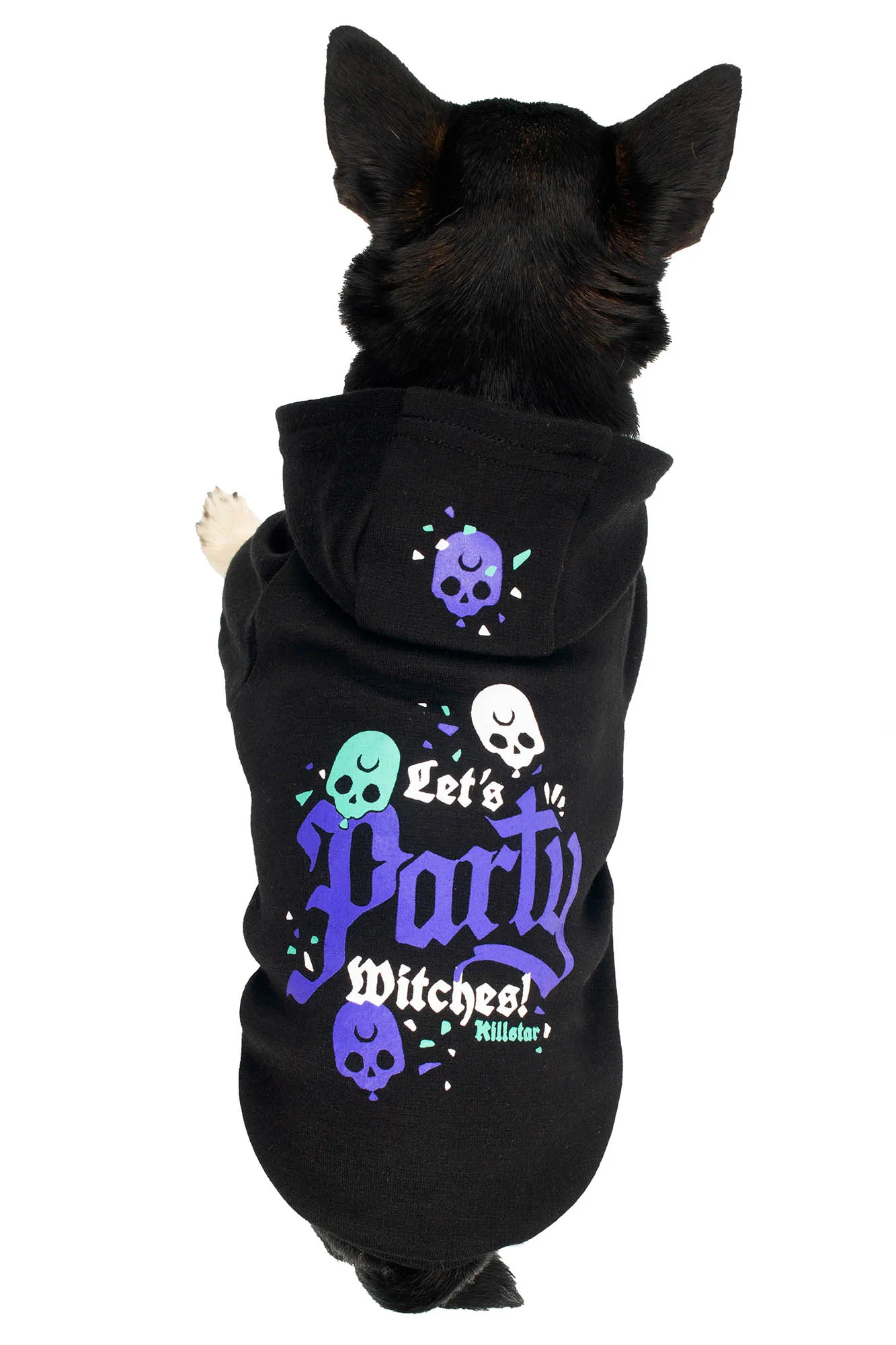 Party Pet Hoodie