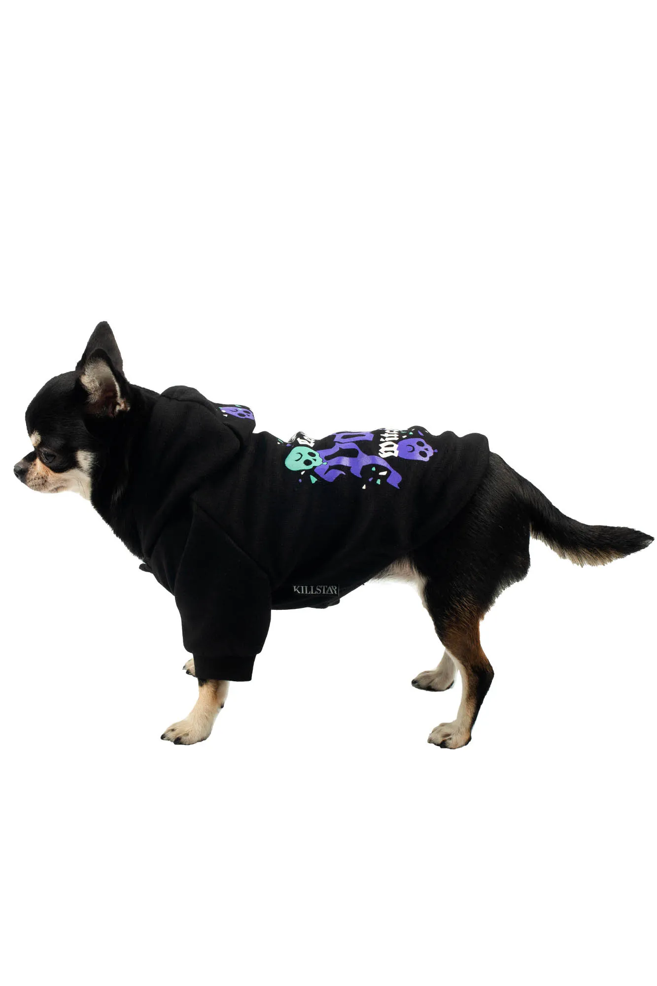 Party Pet Hoodie