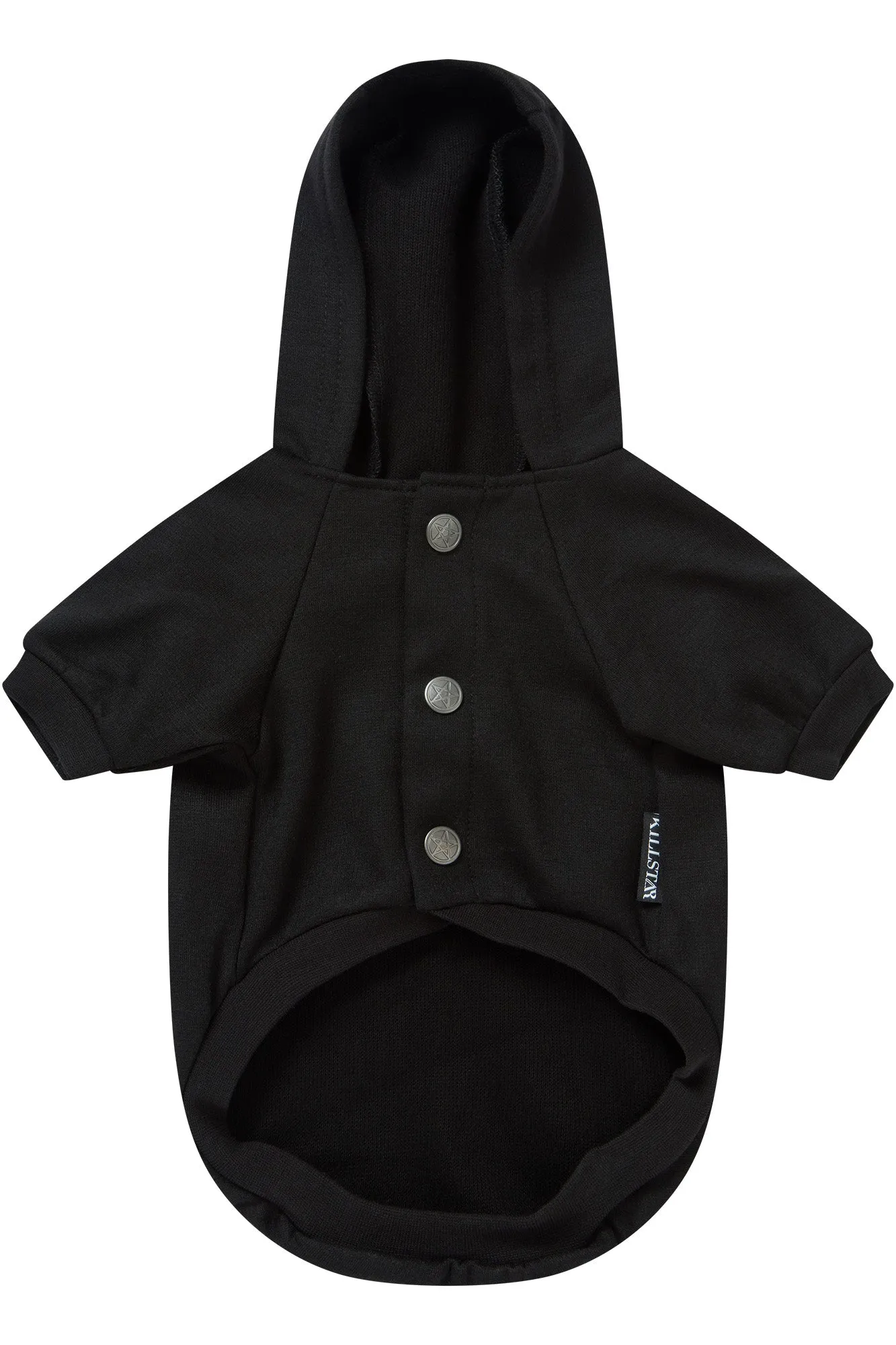 Witch In Training Pet Hoodie