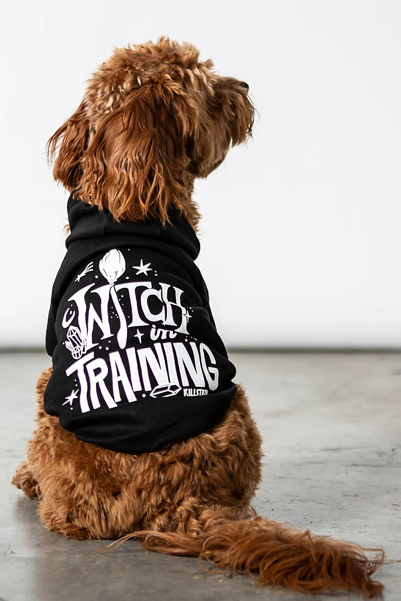 Witch In Training Pet Hoodie