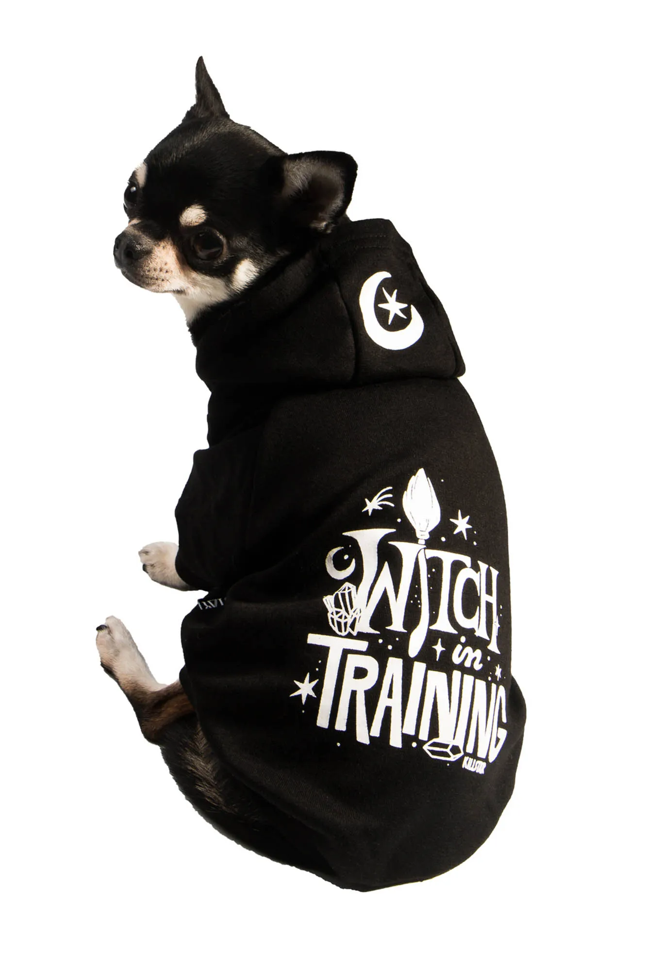 Witch In Training Pet Hoodie