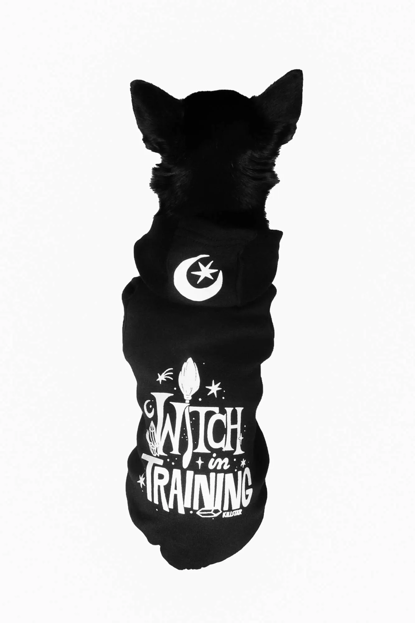 Witch In Training Pet Hoodie