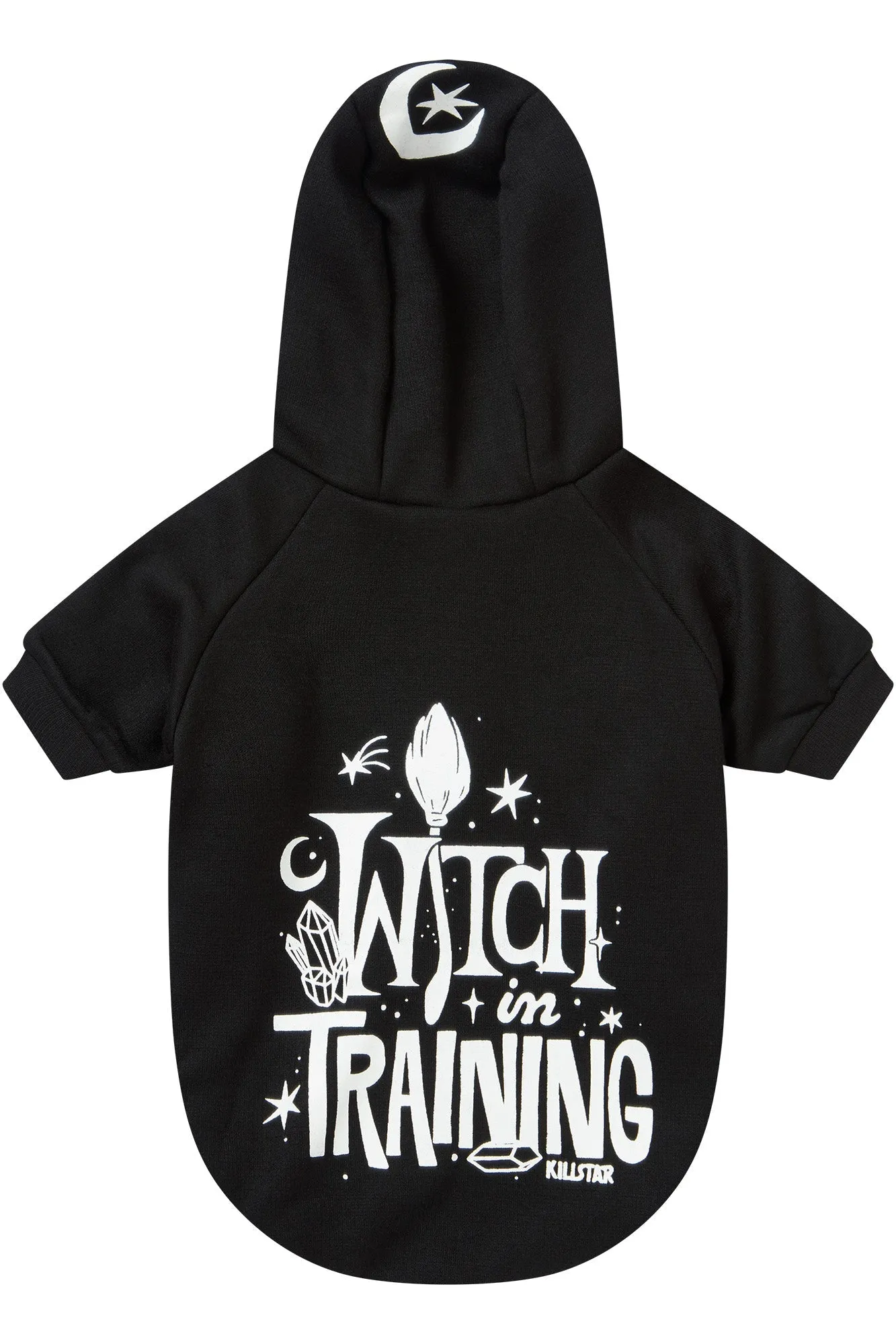 Witch In Training Pet Hoodie